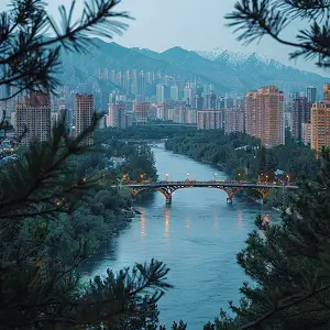 风情的含义是什么